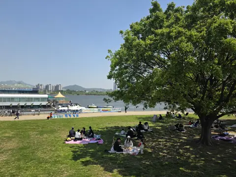 People sitting on the grass by the Han River on a bright afternoon